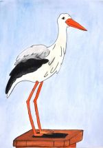 Mihočová Sabína.jpg